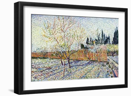 Orchard-Vincent van Gogh-Framed Art Print