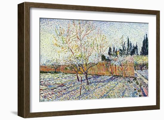 Orchard-Vincent van Gogh-Framed Premium Giclee Print