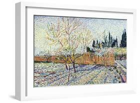 Orchard-Vincent van Gogh-Framed Premium Giclee Print