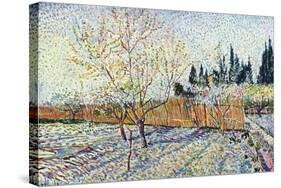 Orchard-Vincent van Gogh-Stretched Canvas