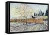 Orchard-Vincent van Gogh-Framed Stretched Canvas