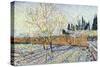 Orchard-Vincent van Gogh-Stretched Canvas