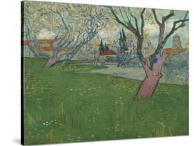 Orchards in blossom, view of Arles. 1889-Vincent van Gogh-Stretched Canvas