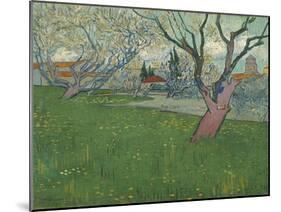 Orchards in Blossom, View of Arles, 1889-Vincent van Gogh-Mounted Giclee Print