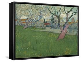 Orchards in Blossom, View of Arles, 1889-Vincent van Gogh-Framed Stretched Canvas