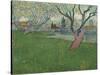 Orchards in Blossom, View of Arles, 1889-Vincent van Gogh-Stretched Canvas