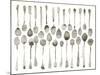 Orchestra of Spoons-Bridget Davies-Mounted Giclee Print