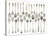 Orchestra of Spoons-Bridget Davies-Stretched Canvas