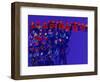 Orchestra-Diana Ong-Framed Premium Giclee Print