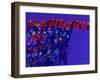 Orchestra-Diana Ong-Framed Giclee Print