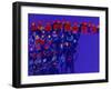 Orchestra-Diana Ong-Framed Giclee Print