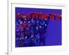 Orchestra-Diana Ong-Framed Giclee Print