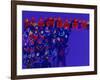 Orchestra-Diana Ong-Framed Giclee Print