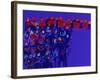 Orchestra-Diana Ong-Framed Giclee Print