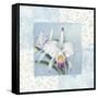 Orchid 1-Lisa Audit-Framed Stretched Canvas