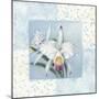Orchid 1-Lisa Audit-Mounted Giclee Print