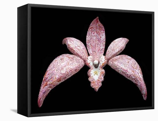 Orchid, 2011-Maylee Christie-Framed Stretched Canvas