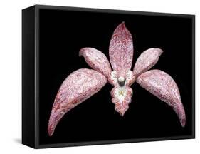 Orchid, 2011-Maylee Christie-Framed Stretched Canvas