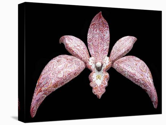 Orchid, 2011-Maylee Christie-Stretched Canvas