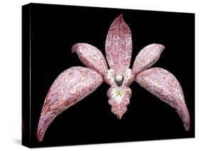 Orchid, 2011-Maylee Christie-Stretched Canvas