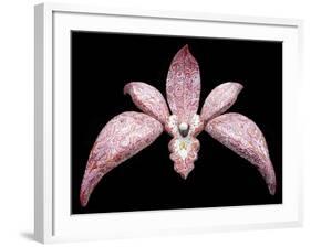 Orchid, 2011-Maylee Christie-Framed Giclee Print