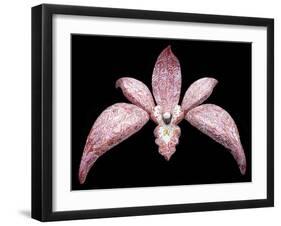 Orchid, 2011-Maylee Christie-Framed Giclee Print