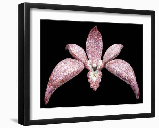 Orchid, 2011-Maylee Christie-Framed Giclee Print