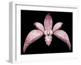 Orchid, 2011-Maylee Christie-Framed Giclee Print