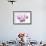 Orchid-2017-31-Gordon Semmens-Framed Giclee Print displayed on a wall