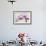 Orchid-2017-33-Gordon Semmens-Framed Giclee Print displayed on a wall