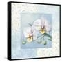 Orchid 2-Lisa Audit-Framed Stretched Canvas