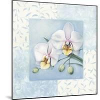 Orchid 2-Lisa Audit-Mounted Giclee Print