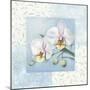 Orchid 2-Lisa Audit-Mounted Giclee Print