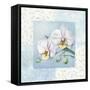 Orchid 2-Lisa Audit-Framed Stretched Canvas