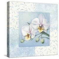 Orchid 2-Lisa Audit-Stretched Canvas