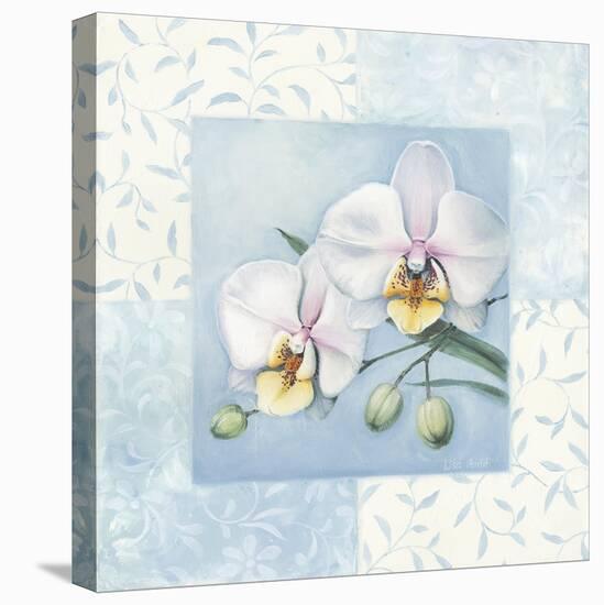 Orchid 2-Lisa Audit-Stretched Canvas