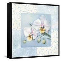 Orchid 2-Lisa Audit-Framed Stretched Canvas