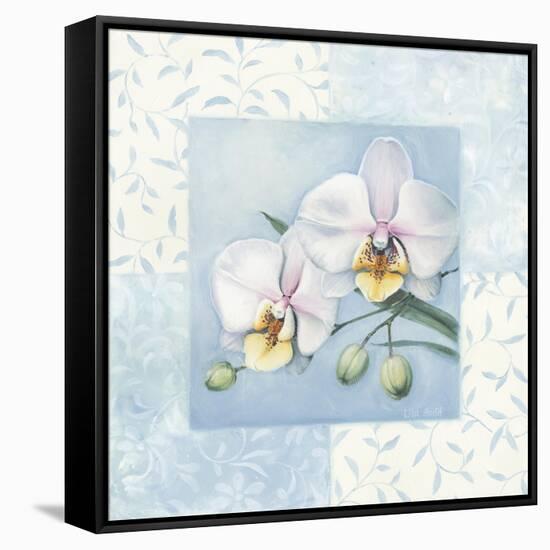 Orchid 2-Lisa Audit-Framed Stretched Canvas