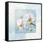 Orchid 2-Lisa Audit-Framed Stretched Canvas