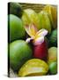 Orchid and Fruit, Les Jardins Du Roy, Mahe, Seychelles-J P De Manne-Stretched Canvas