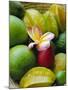 Orchid and Fruit, Les Jardins Du Roy, Mahe, Seychelles-J P De Manne-Mounted Photographic Print