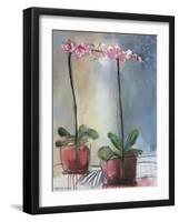 Orchid and Lace I-Marina Louw-Framed Art Print