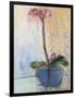 Orchid and Lace II-Marina Louw-Framed Art Print