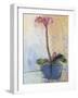 Orchid and Lace II-Marina Louw-Framed Art Print