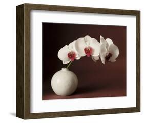 Orchid and white vase-Florence Rouquette-Framed Art Print