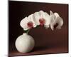 Orchid and white vase-Florence Rouquette-Mounted Art Print