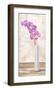 Orchid Arrangement-Shin Mills-Framed Art Print