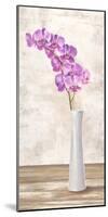 Orchid Arrangement-Shin Mills-Mounted Art Print