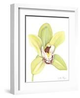 Orchid Beauty II-Jennifer Goldberger-Framed Art Print