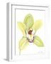 Orchid Beauty II-Jennifer Goldberger-Framed Art Print